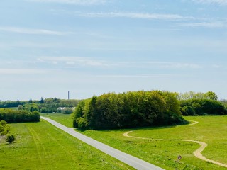 road in the park