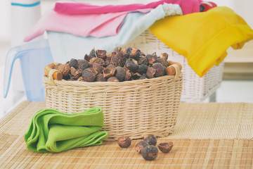Basket full of soap nuts