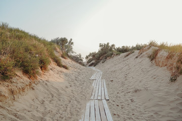 Boardwalk to the beach among sand dunes