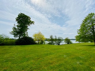 green grass and blue sky