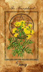 The Hierophant. Major Arcana tarot card with Tansy and magic seal.