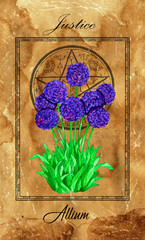 Justice. Major Arcana tarot card with Allium and magic seal.