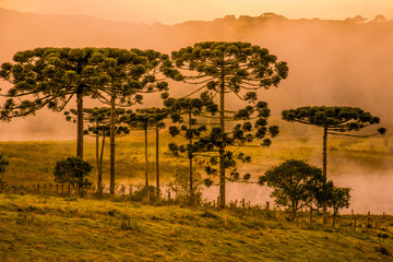 Obraz premium Sunset