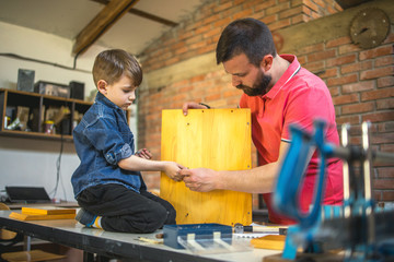 	
Father and Son Making a Birdhouse