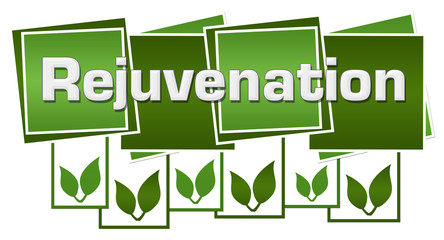 Rejuvenation Green Leaves Squares Boxes 