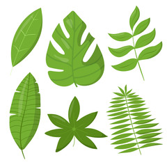 Set of tropic leaves vector elements isolated one white
