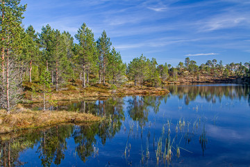 Fototapeta premium Moorweiher im Trondelag