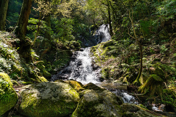 Waterfall is in mountain of Fukuoka prefecture, JAPAN