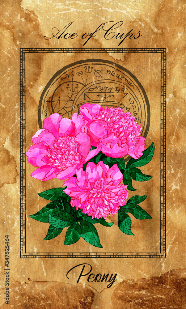 Wall mural Ace of Cups. Minor Arcana tarot card with Peony and magic seal.