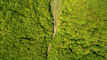 Forest and road aerial view. Photo shot by a drone.