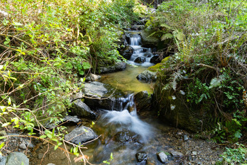 Naklejka na ściany i meble water flow in rocky area in mountain in JAPAN.