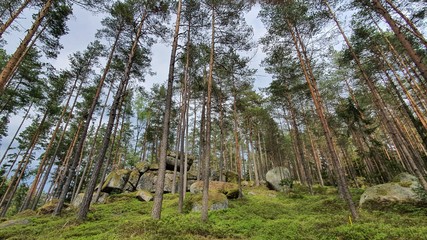 Stein wald Stone Wackelsteine Findlinge Ruhe 
