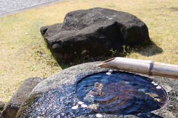 つくばい　水鉢　風景　春　杤木