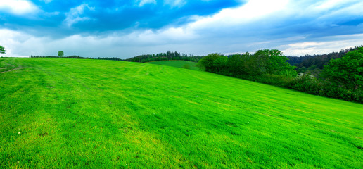 Grassland shortly before a bad weather situation in the summer time
