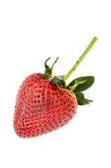 red strawberry on white background
