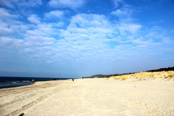 Fototapeta na wymiar sandy coast of the Baltic Sea