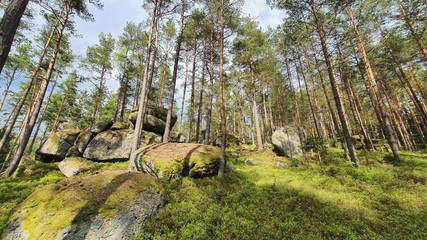 Stein wald Stone Wackelsteine Findlinge Ruhe 