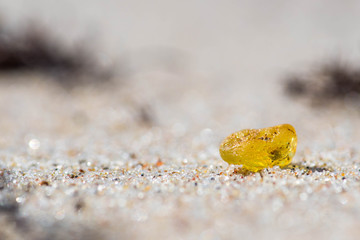Beautiful piece of amber on the sandy beach, close up