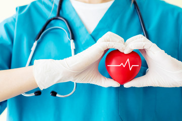 Close up doctor with blue uniform holding red heart with electrocardiogram symbol in hand and wearing white glove with stethoscope on neck. Patients consult cardiologist and body checkup at hospital.