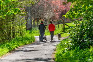 A young man and woman taking exercise with a baby in a pushchair and a dog during the Covid 19...