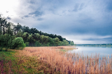 panoramic view of the forest on the lake and scirpus in the fog with thunderous blue clouds. Pond...