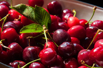 Fresh cherries served in different styles, vegan lifestyle interpretation