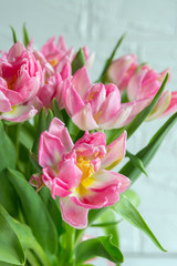 Bouquet of pink tulips on a white background. Concept of women's day, mother's day, birthday, Valentine's Day. Spring background with tulips