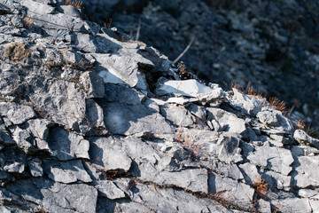 Felsen