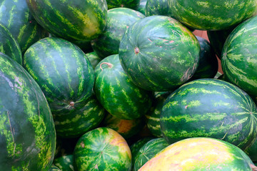 harvested large ripe striped green watermelons with yellow sides piled in a pile