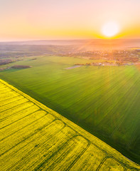 Aerial view of a beautiful rural area with yellow and green fields with rapeseed and wheat in golden hour before sunset.