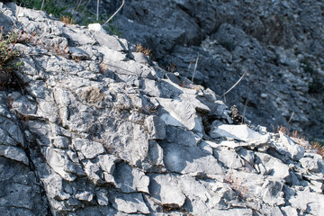 Felsen