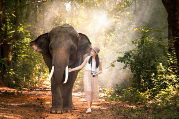 Tourists are enjoying with the wild elephants in the forest. Tourism Asian women holding camera in elephant village.