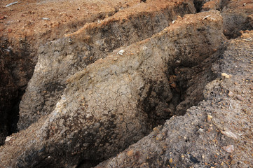 Land with dry and cracked ground. 