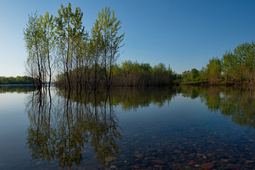 Fototapeta na wymiar Russia, Kuznetsky Alatau. Flooded with spring water, the shore of the Tom river near the village of Osinovoe Pleso.