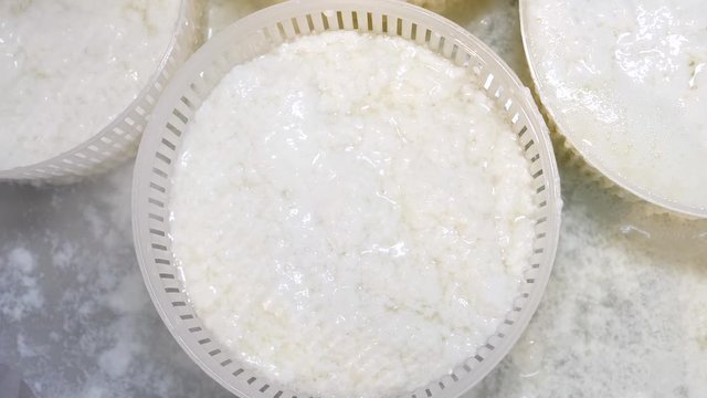 Cheesemaker Fat รูปภาพCheese-Maker – เลือกดูภาพถ่ายสต็อก เวกเตอร์ และวิดีโอ1,187 ...