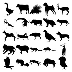 Set of 25 animals. Goose, Cow, Porcupine, Dog, Deer, Mantis, Crocodile, Rhinoceros, Bear, Wolf, Grasshopper, Dove, Pitbull, Cat, Capybara, Fisher, Armadillo, Goshawk, Squirrel, Thylacine, Buffalo.
