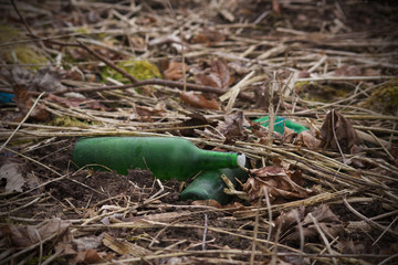 Discarded glass bottles lies in the grass. Glass bottle thrown in the forest. The problem of...