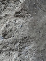 Textured background. Old concrete wall.