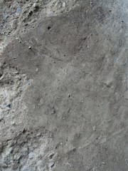 Textured background. Old concrete wall.