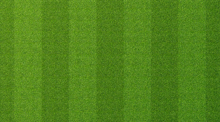 Custom blinds with your photo Green grass texture for sport background. Detailed pattern of green soccer field or football field grass lawn texture. Green lawn texture background.