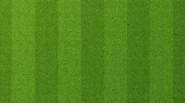 Football ground best sale grass