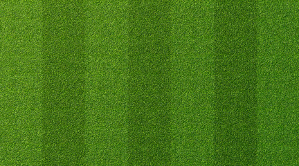 Green grass texture for sport background. Detailed pattern of green soccer field or football field...