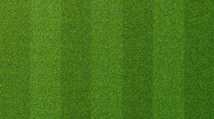 Green grass texture for sport background. Detailed pattern of green soccer field or football field...