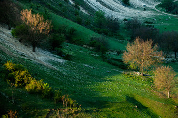 Natural summer landscape in Moldova.  Green field, tree and blue sky. Great as a background,web banner. Misty summer mountain hills landscape.
