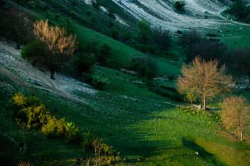 Natural summer landscape in Moldova.  Green field, tree and blue sky. Great as a background,web banner. Misty summer mountain hills landscape.
