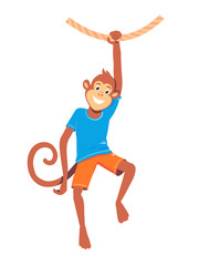 A monkey hangs on one hand on a liana. Sports animal