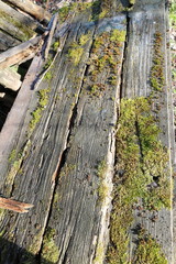 Old boards and logs closeup