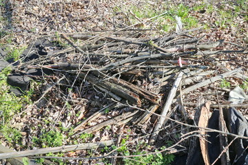 A pile of dry branches at the cottage in the garden