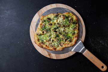 selbstgemachte vegetarische Pizza, Mascarpone, Mozzarella, Champignons, Bärlauchpaste, Studio