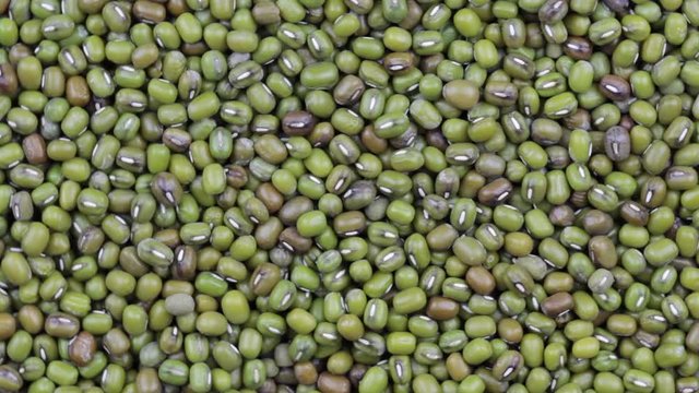 green mung beans (Vigna radiata) rotating top view closeup